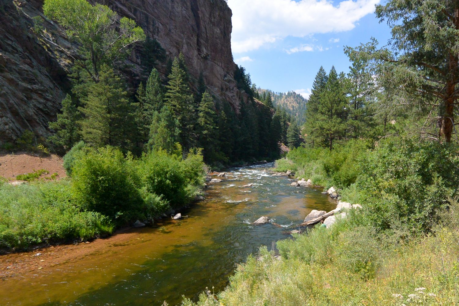 Upper South Platte River by a cliff wall
