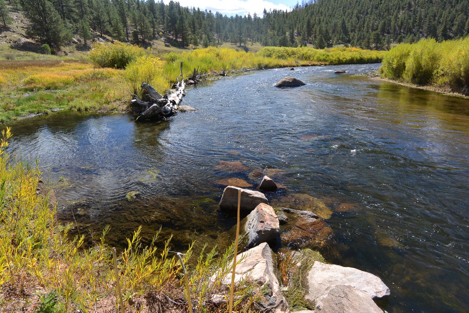 J-Hook structure in the Upper South Platte River