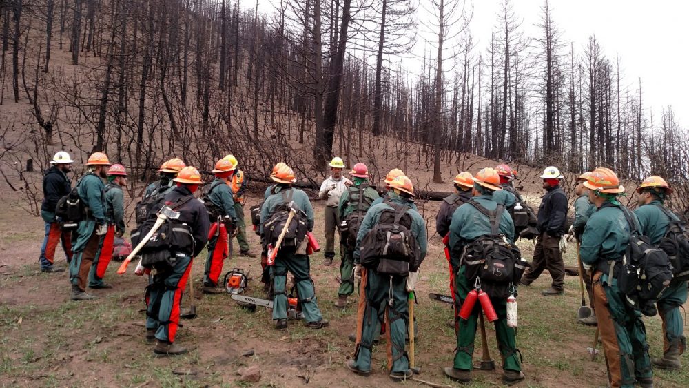 Fire crew meeting before completing burnt forest restoration work