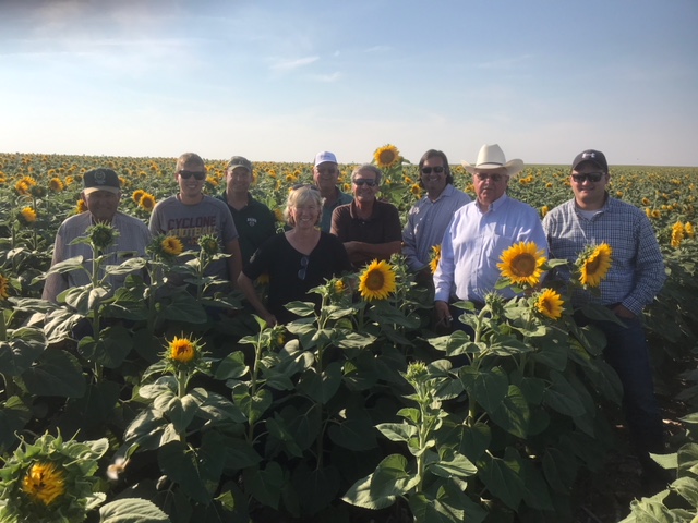 Southern Colorado producers on a soil health tour in South Dakota in Sunflower field