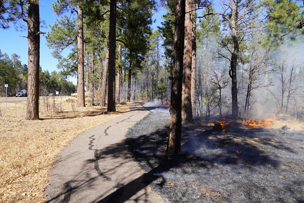 Read more about the article Pinetop Fire District