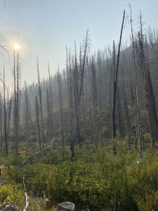 Read more about the article CMAT: Superando Barreras para la Reducción del Riesgo Comunitario ante Incendios Forestales