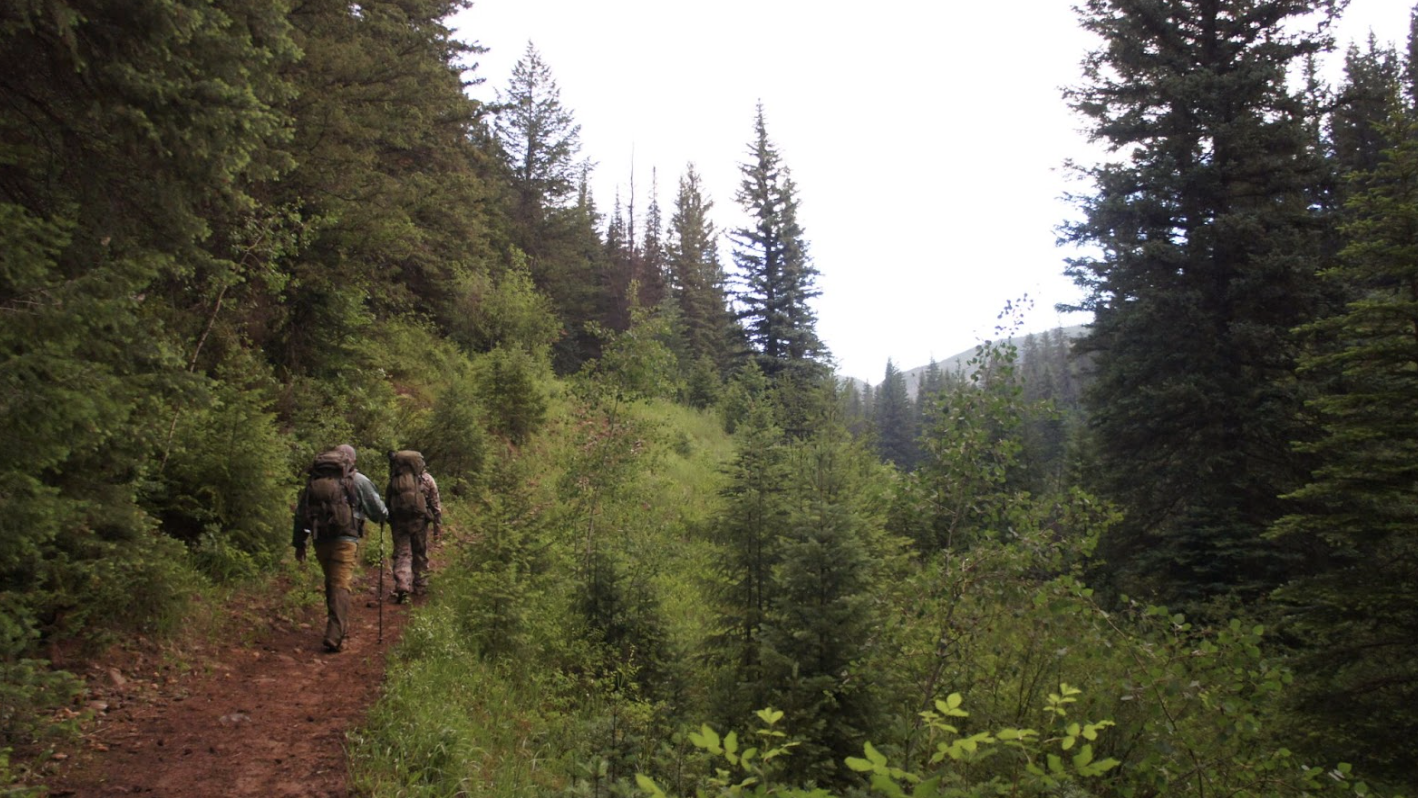 Read more about the article Wildfire and Watersheds