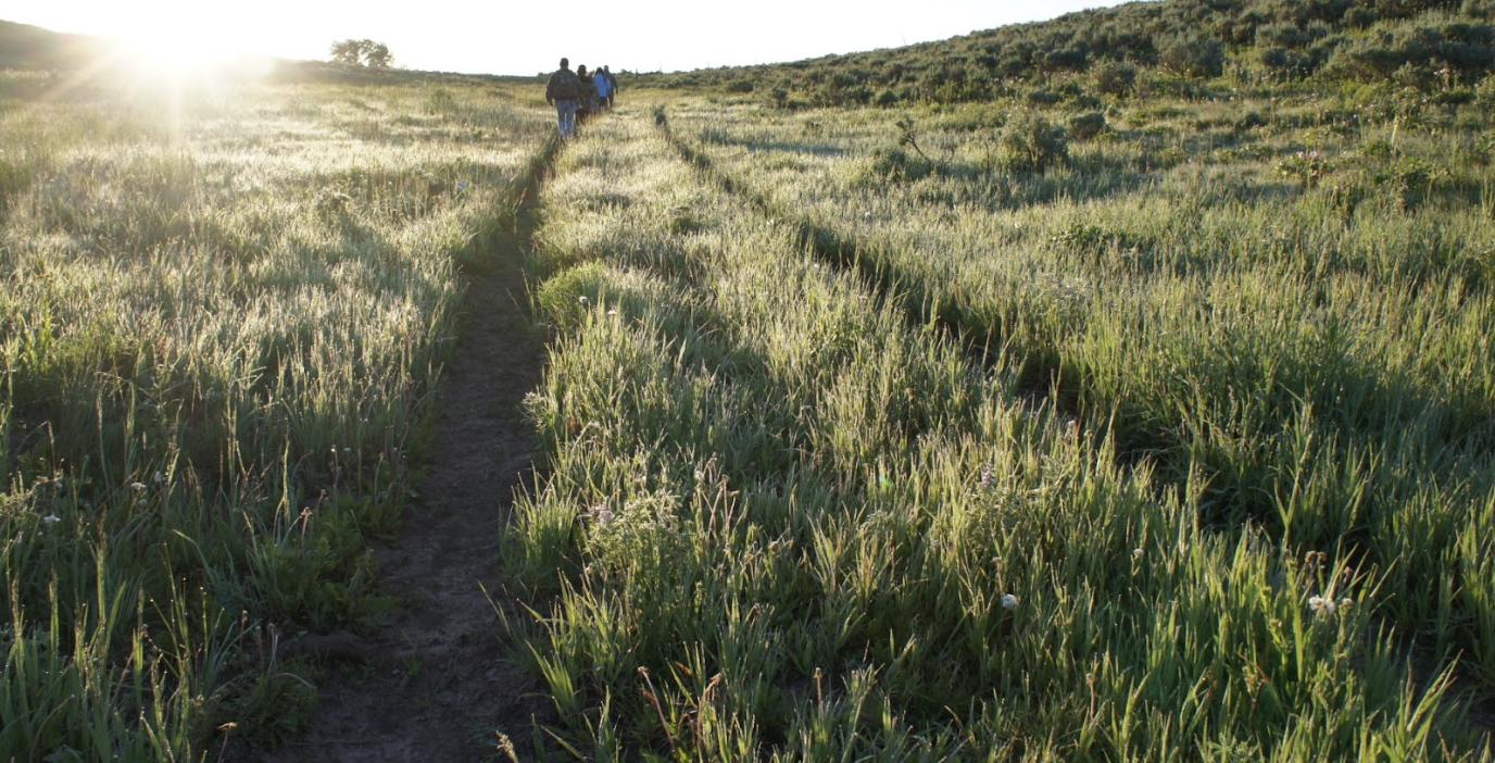 Read more about the article Wildfire and Watersheds